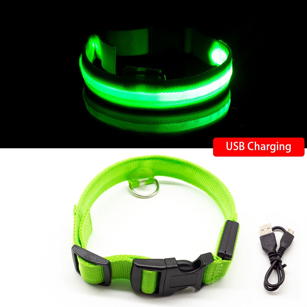 Flashy Pup Light Up Flashing LED Dog Collar USB Rechargeable