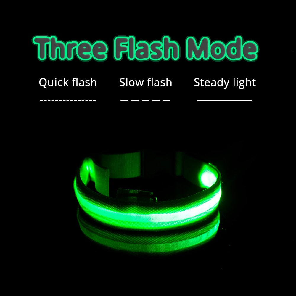 Flashy Pup Light Up Flashing LED Dog Collar USB Rechargeable